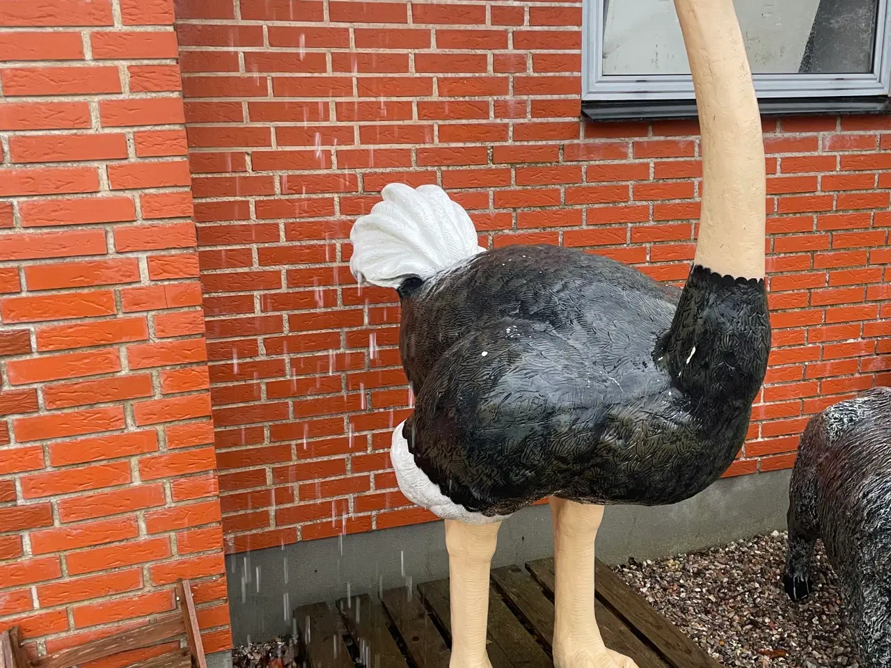 Billede 1 - Stor struds lavet i glasfiber. 