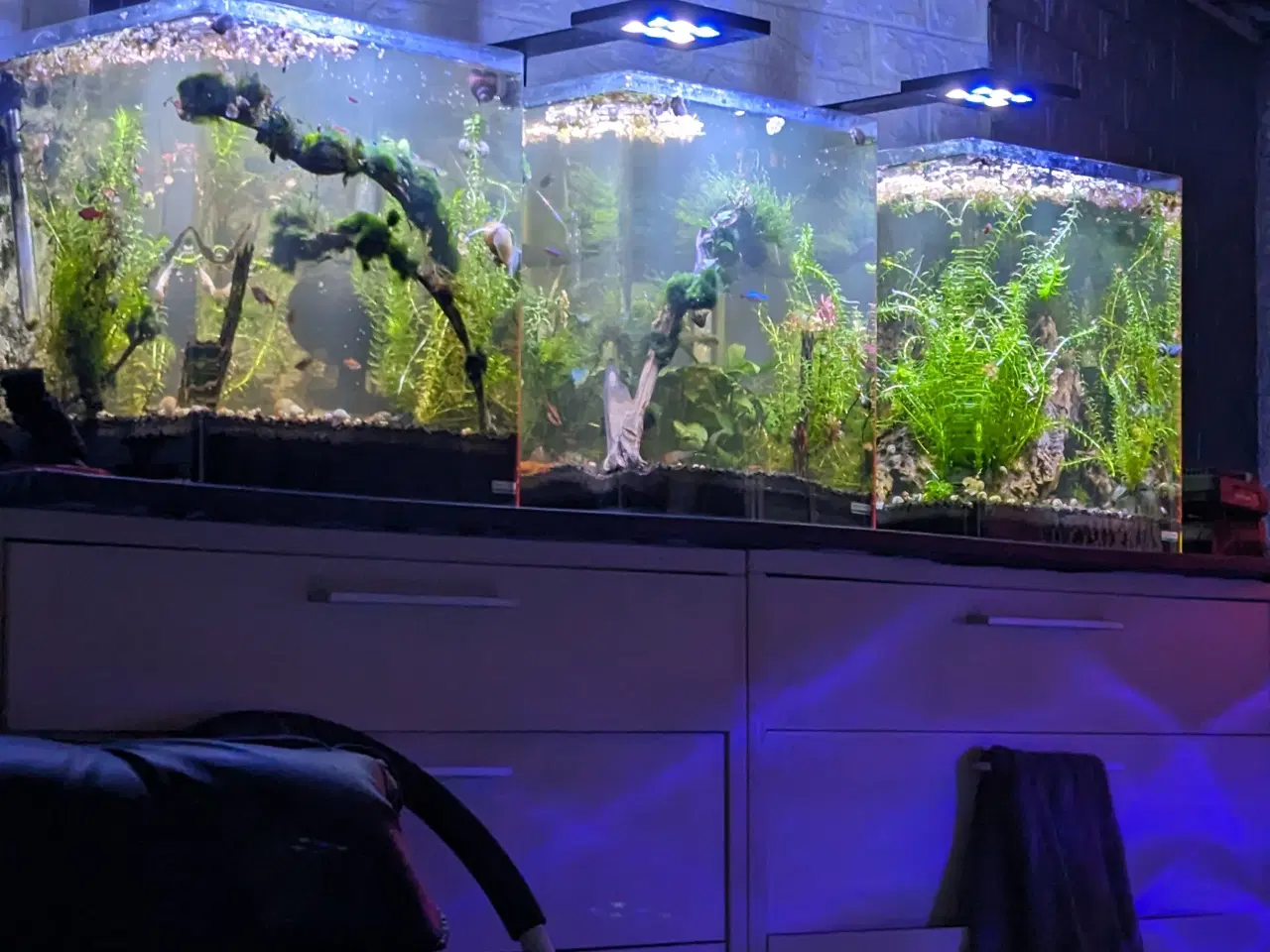 Billede 2 - Akvarium 60 Liter