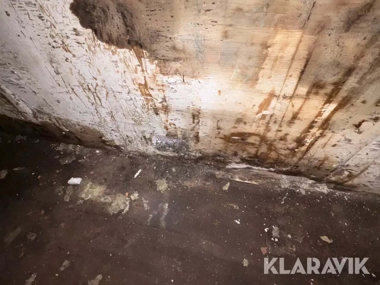 Billede 6 - Container 40 fods