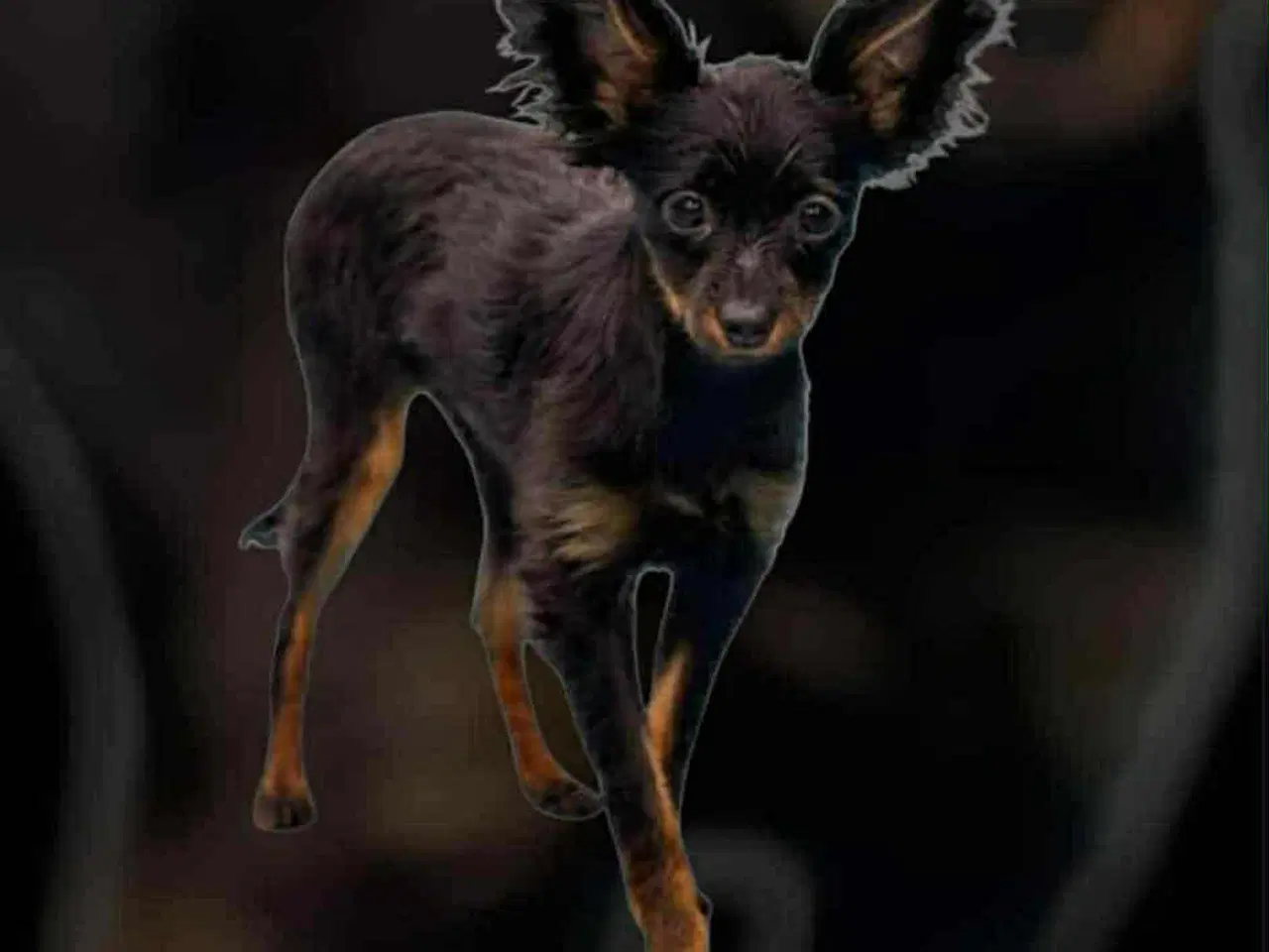 Billede 4 - Verdens sødeste hyggetrold 