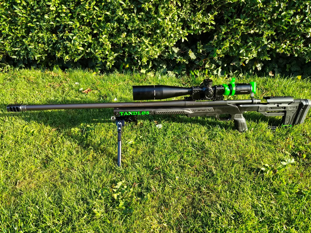 Billede 1 - Tandløs - 300WM riffel