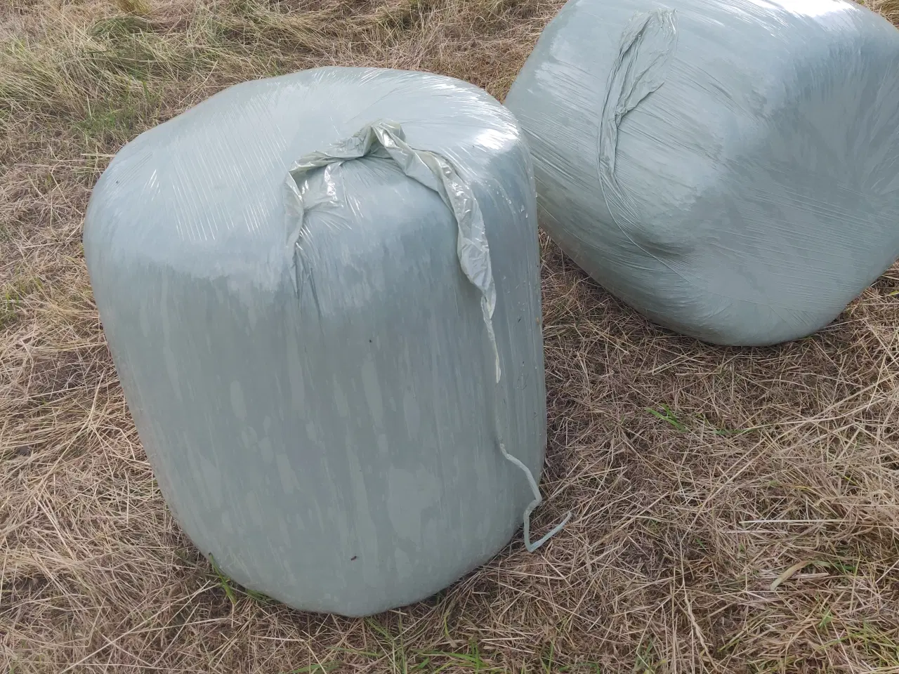 Billede 3 - Ø 60 Wrap baller