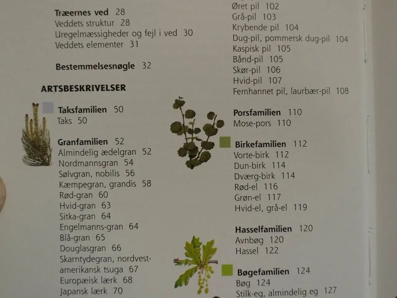 Billede 2 - træer og buske i landskabet, af helge vedel og jet