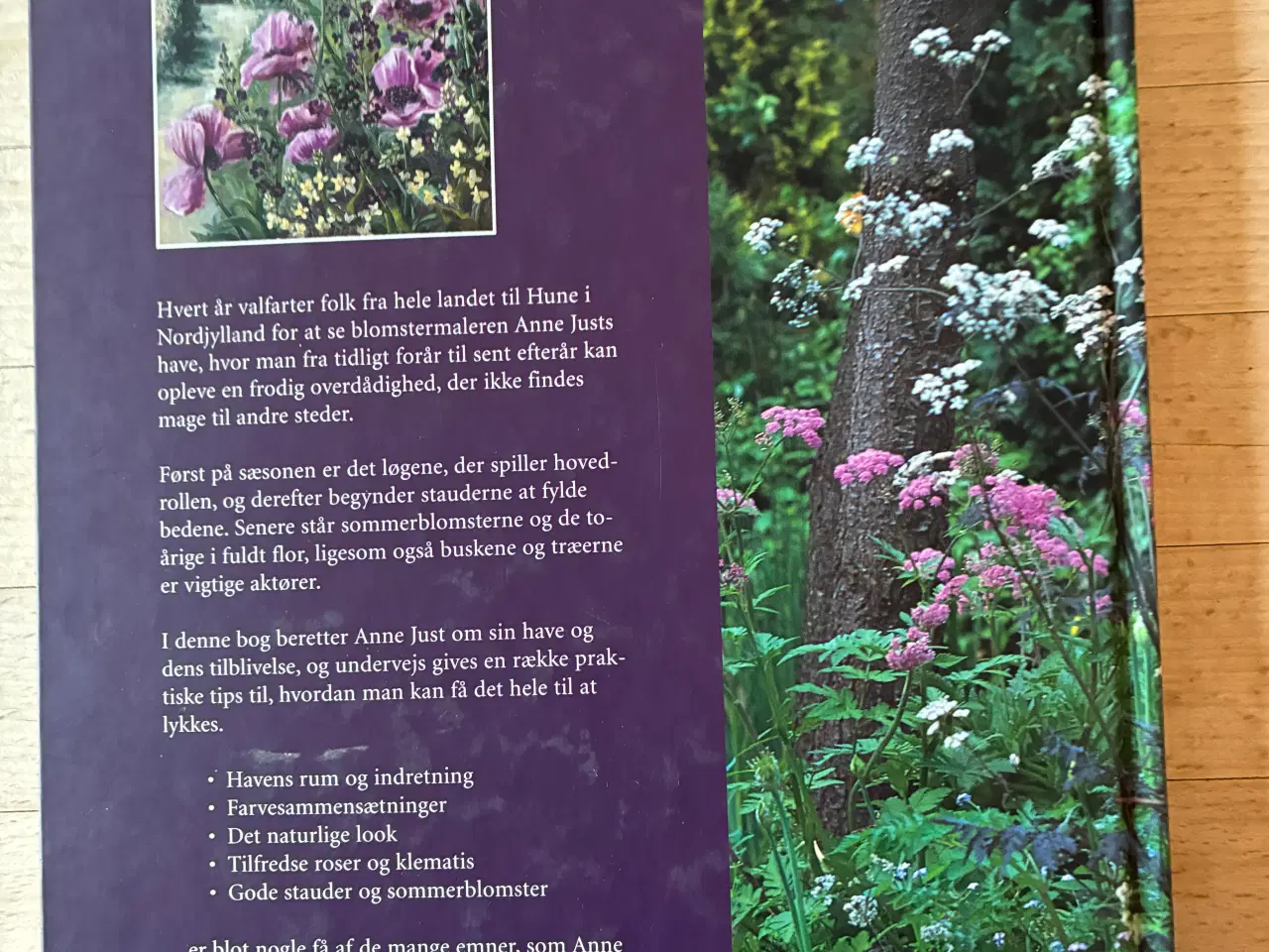Billede 2 - Haven i Hune, Anne Just