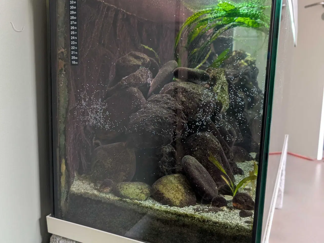 Billede 5 - 240l Juwel Rio akvarie