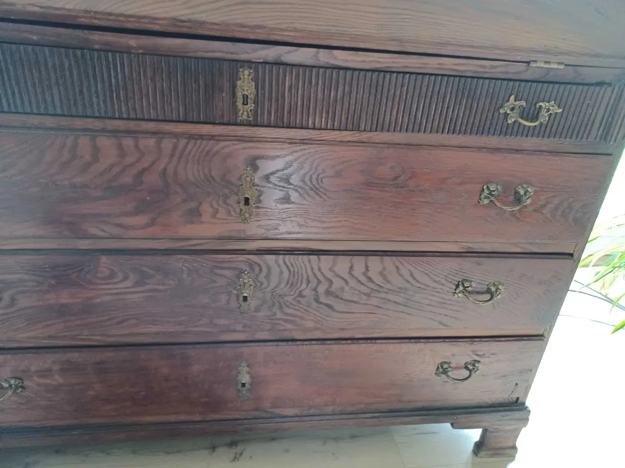 Billede 8 - Egetræschatol