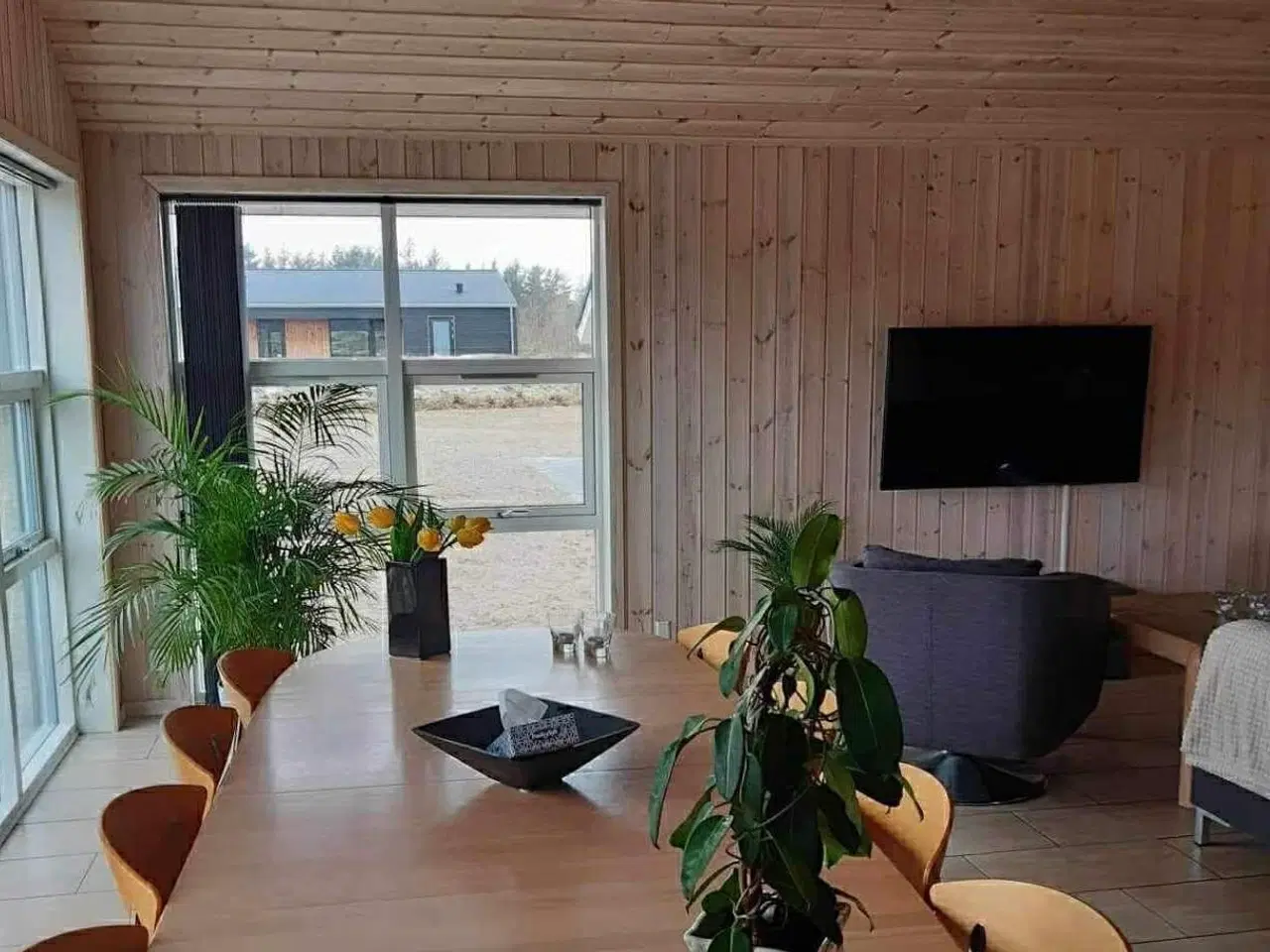 Billede 15 - Sommerhus udlejes …..hund tilladt