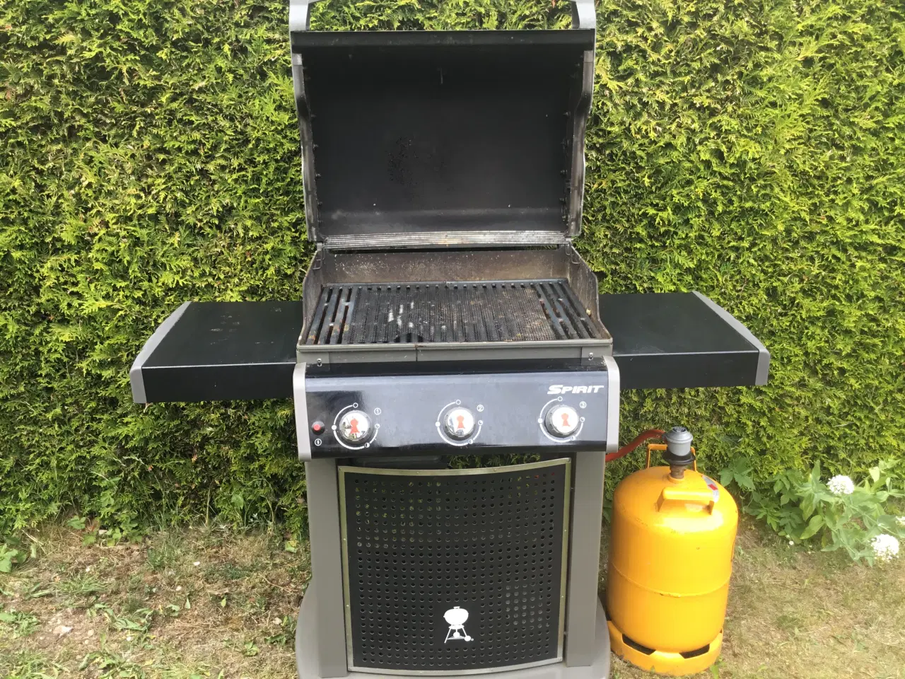 Billede 3 - Weber Spirit gasgril