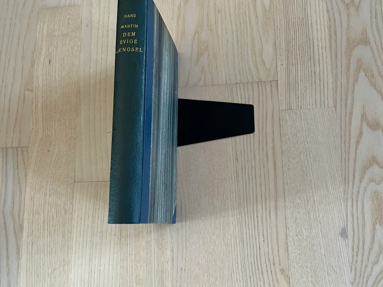 Billede 1 - Den evige Længsel af Hans Martin