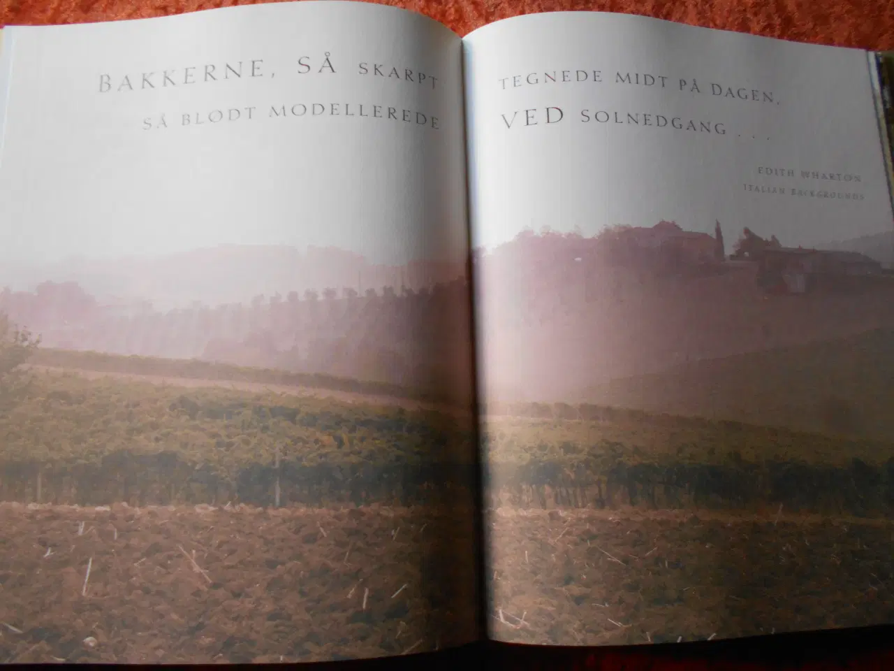 Billede 2 - Toscansk kogebog, Stephanie Alexander, Maggie Beer