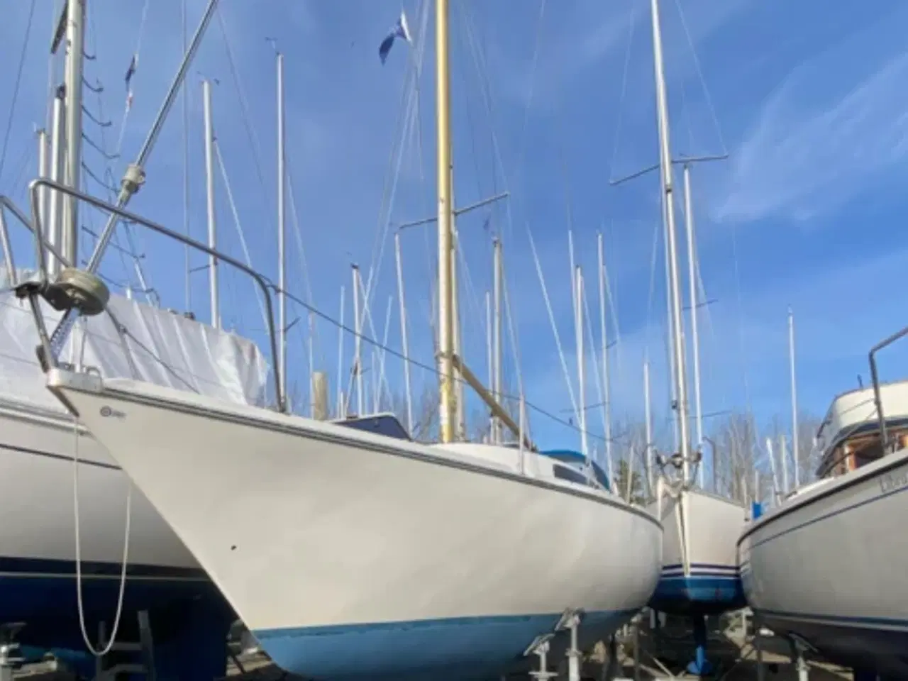 Billede 7 - Jeanneau Poker 27 med evt. bådplads