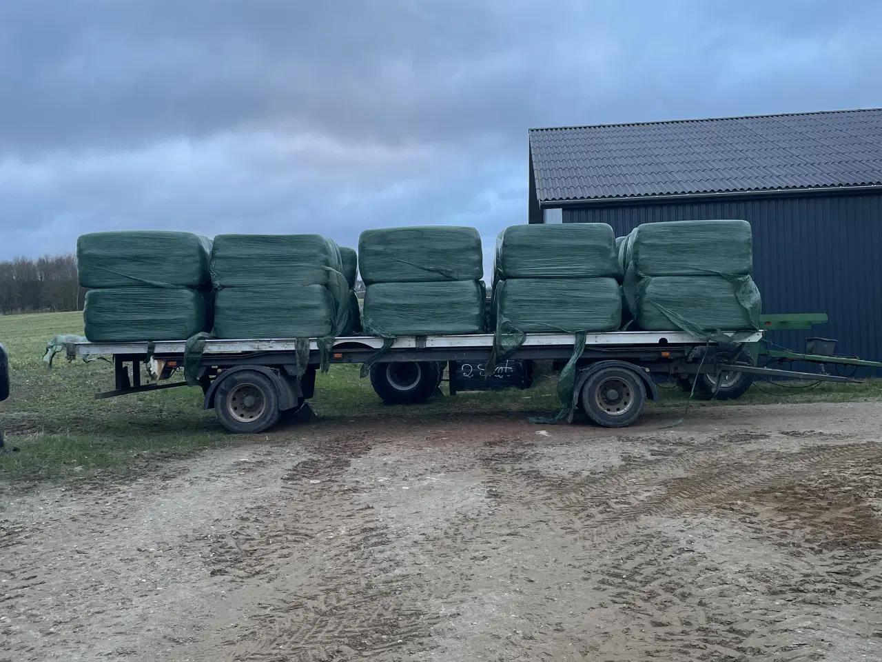 Billede 1 - Wraphø, tørt hø og vårbyghalm