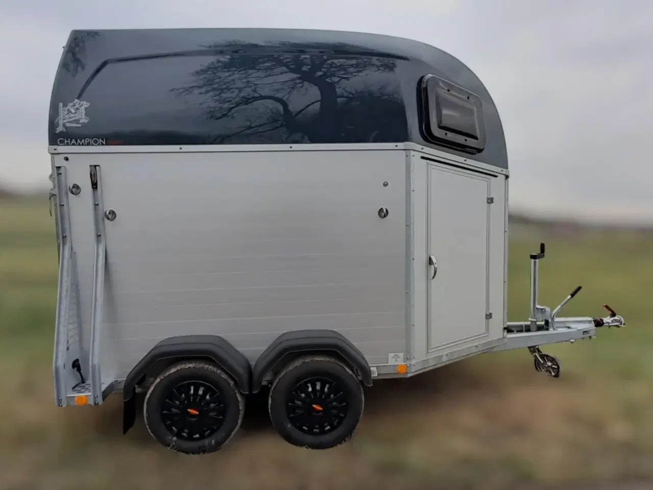 Billede 2 - Böckmann Champion Esprit (Udstilling)