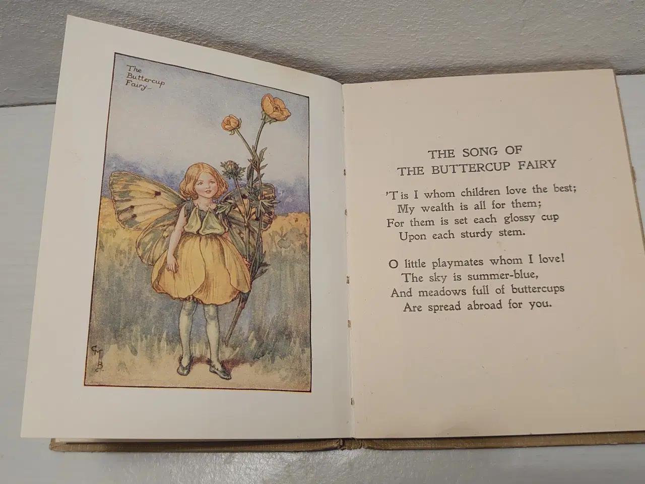 Billede 3 - Cicely Mary Barker:Flower Fairies of the Summer.