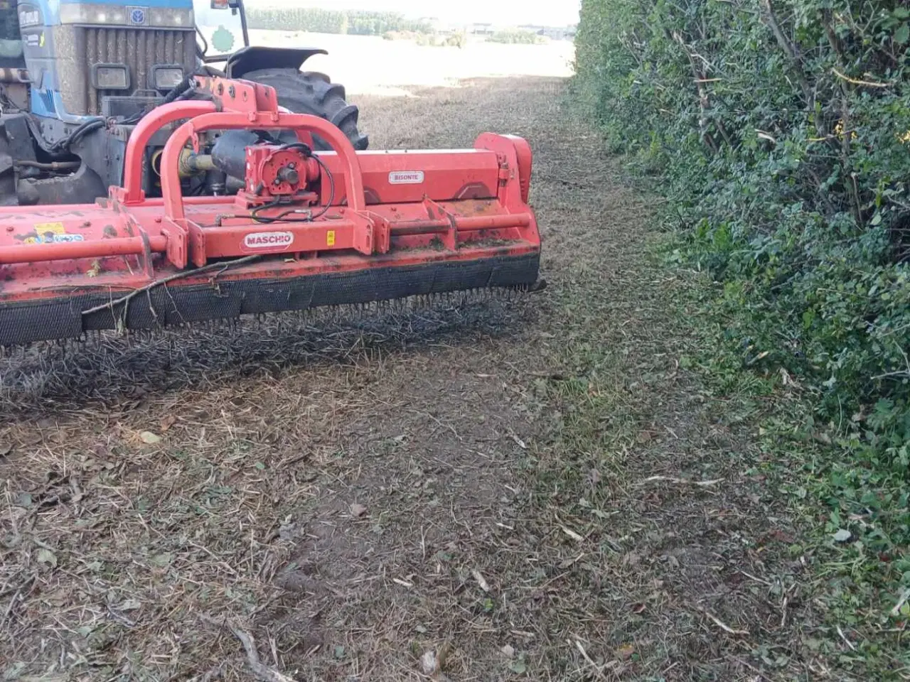 Billede 3 - Maschio Slagleklipper 3 meter