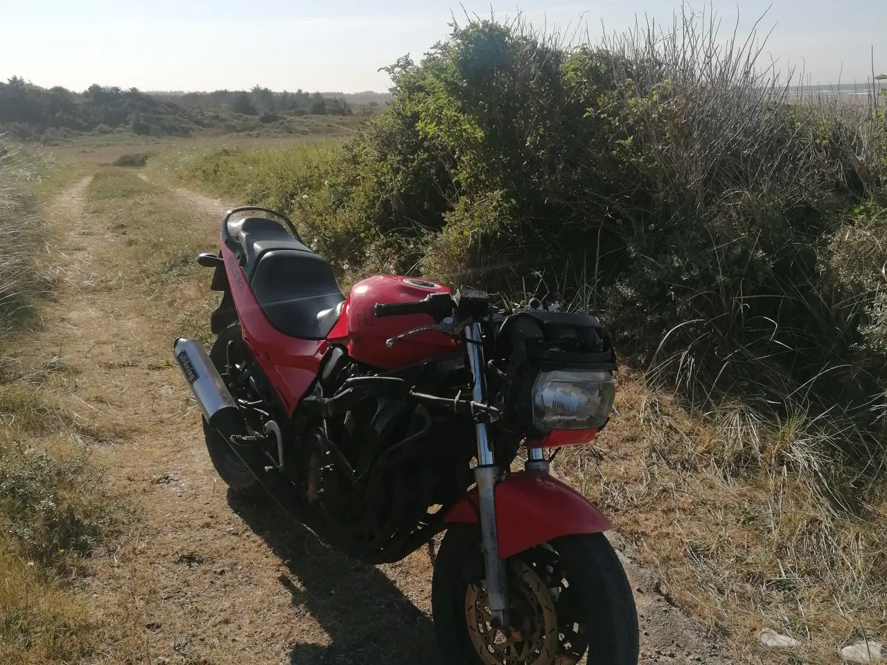 Billede 9 - Suzuki GSX 600f 