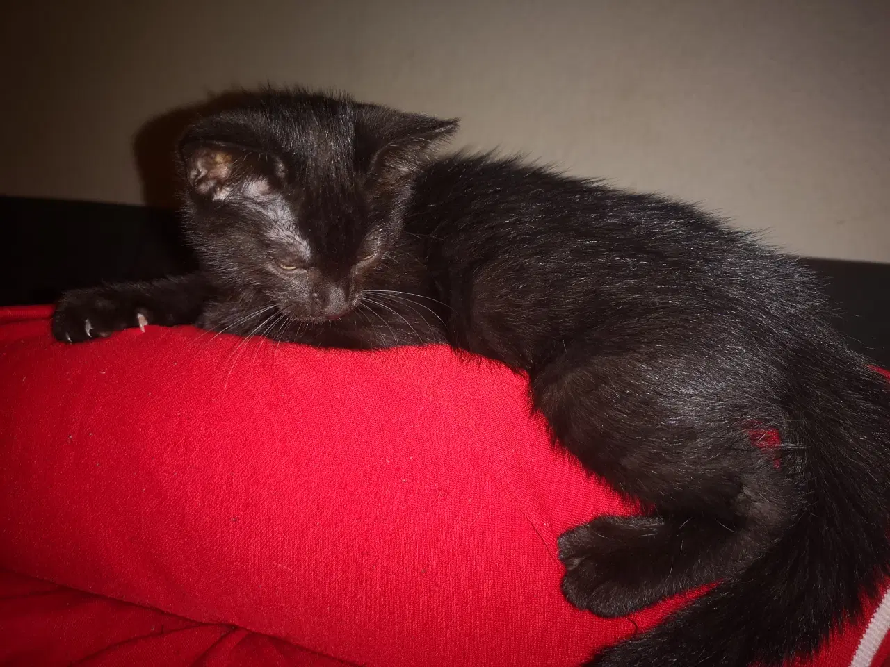 Billede 5 - Vi er klar d. 24-11-25