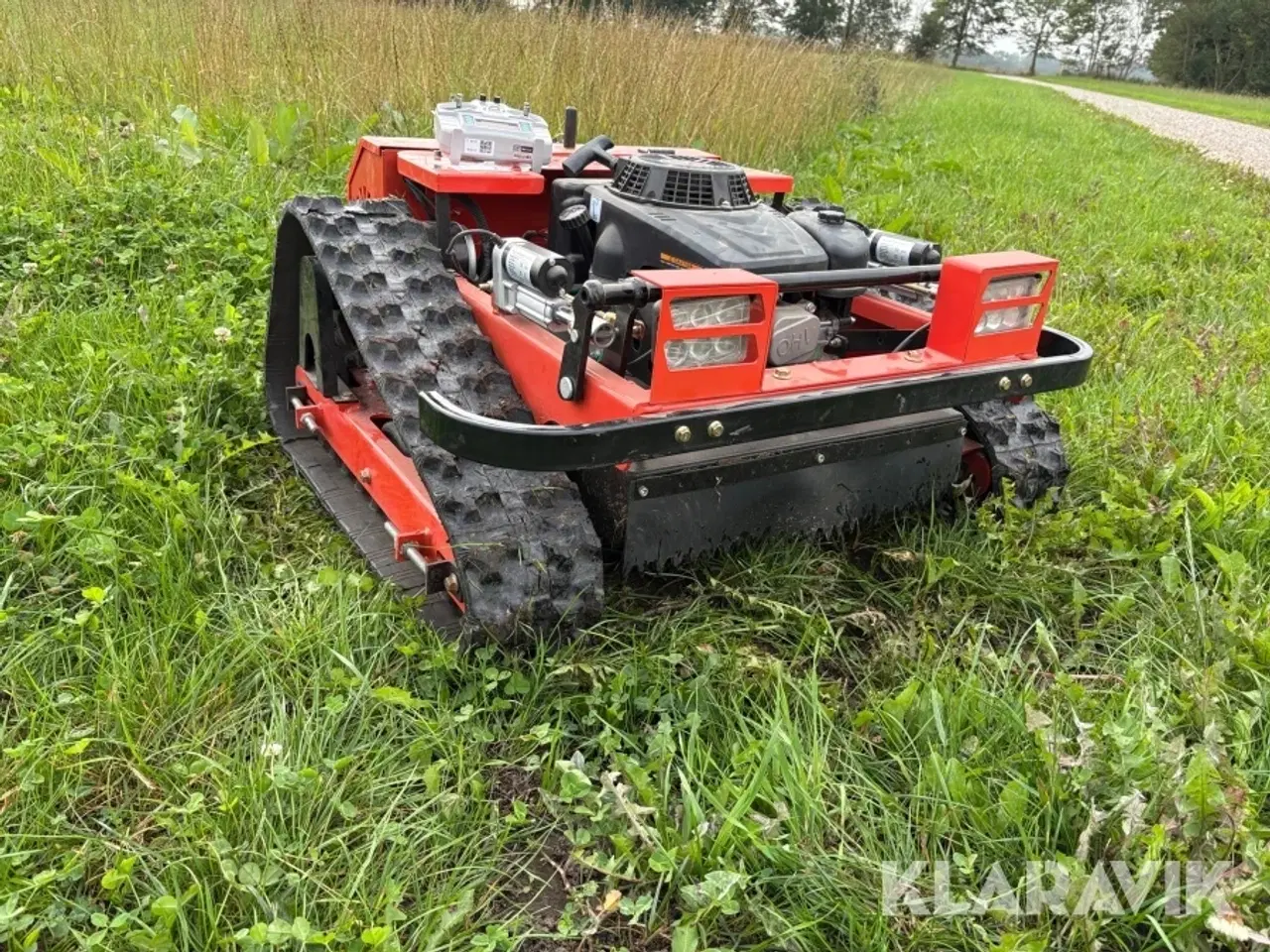 Billede 3 - Skråningsklipper