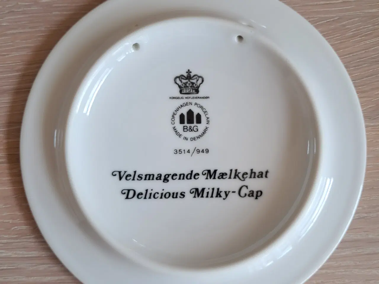 Billede 2 - B&G Svampeplatter