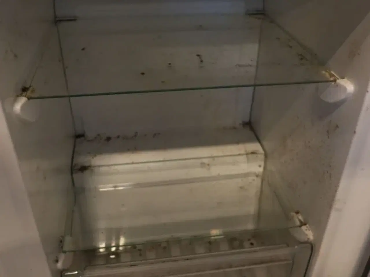 Billede 6 - Køle-/Fryseskab AEG RCB6376BKX