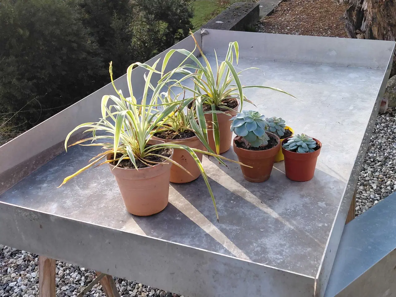 Billede 3 - Aluminium plantebakker