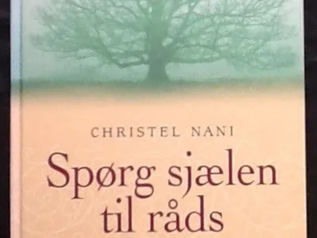 Billede 1 - Christel Nani: Spørg Sjælen til råds