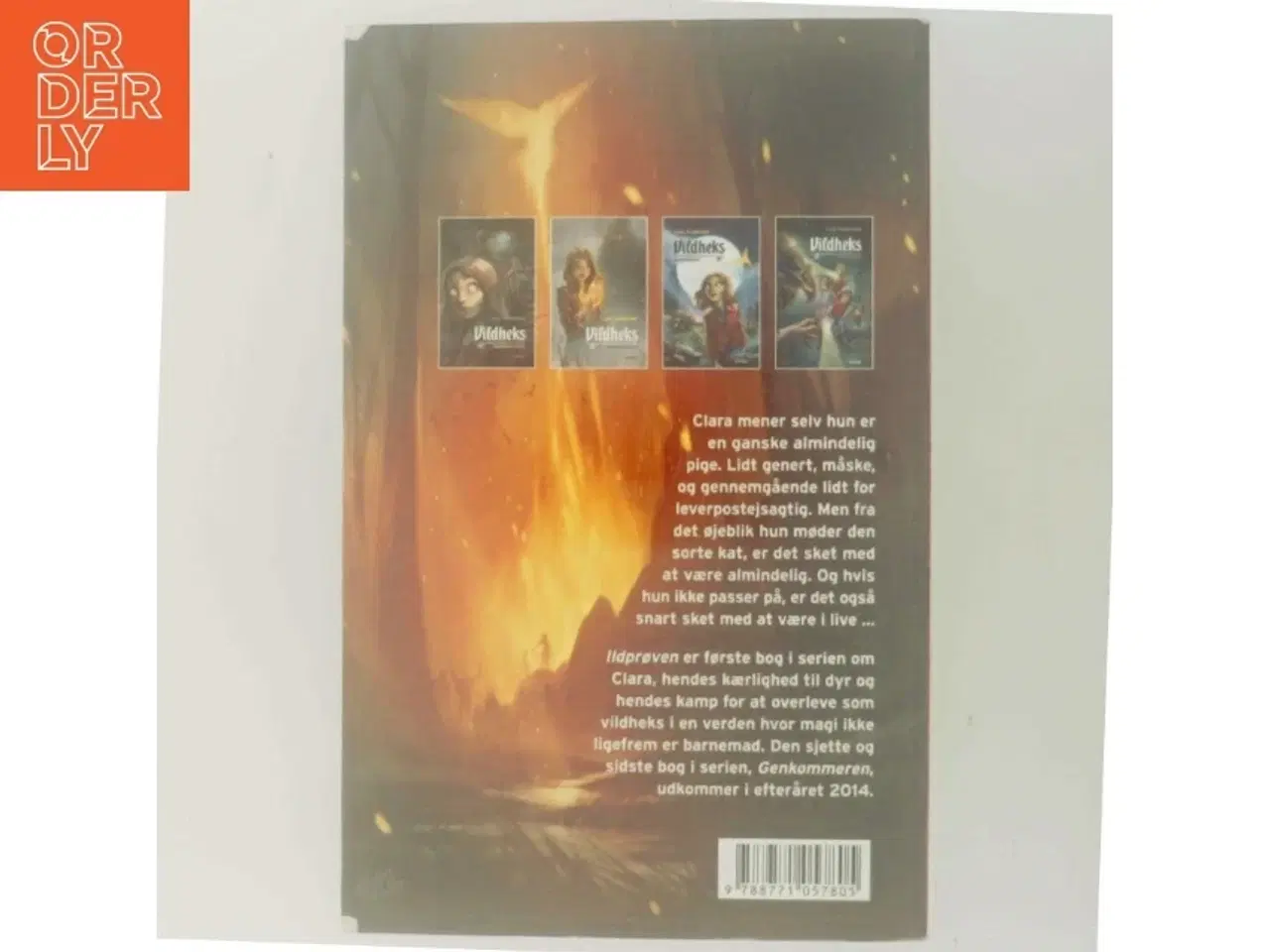 Billede 3 - Vildheks : Ildprøven af Lene Kaaberbøl (Bog)
