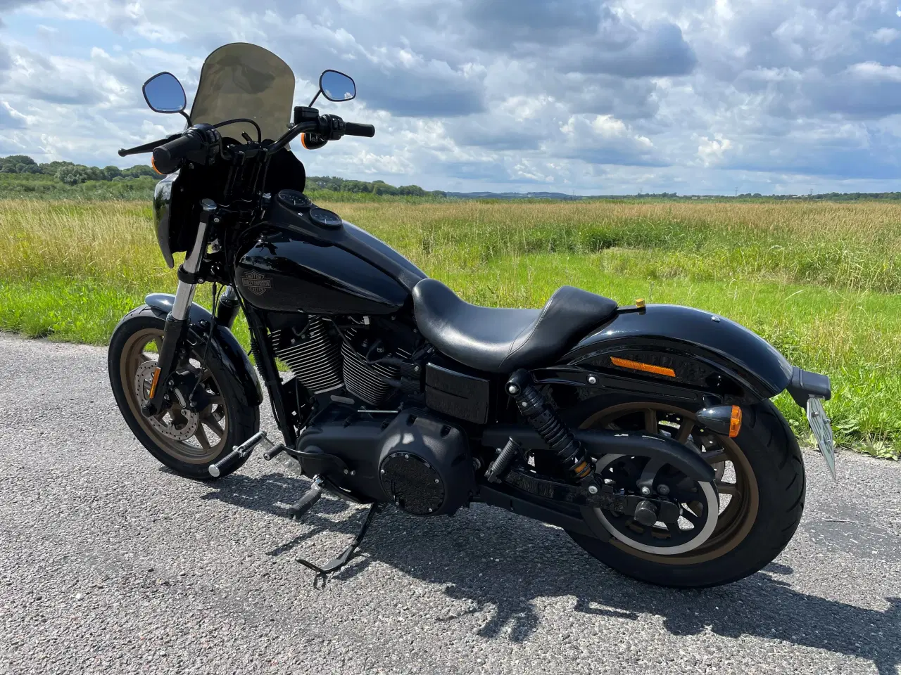 Billede 5 - Harley Davidson Low Rider S