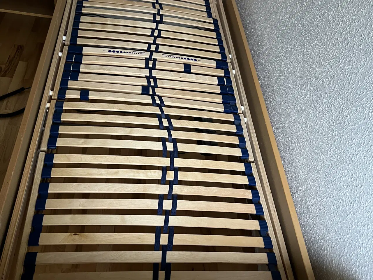 Billede 2 - Elevationsseng i bøg