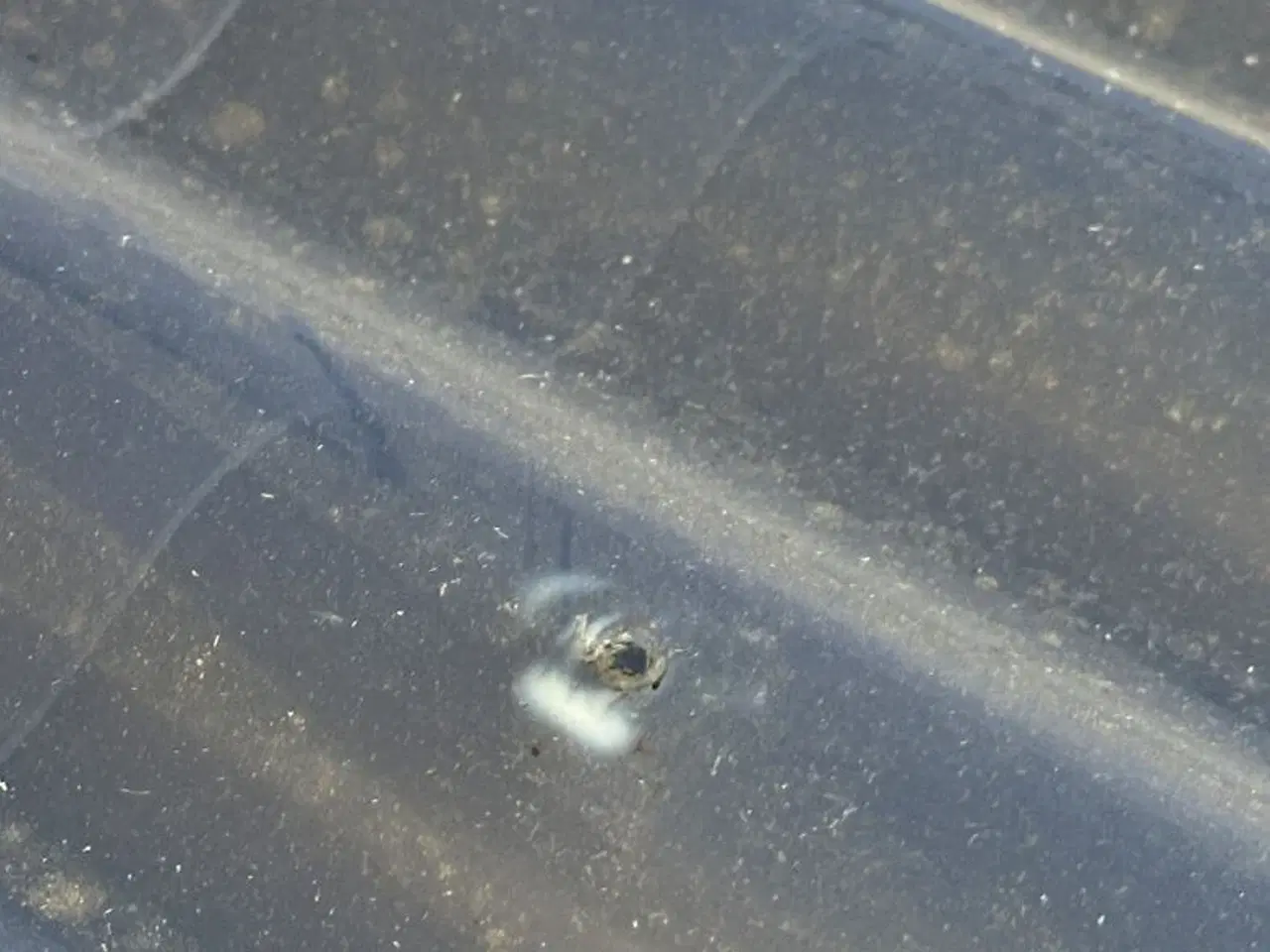 Billede 4 - PVC bølgeplader, samlet parti - 100 m2