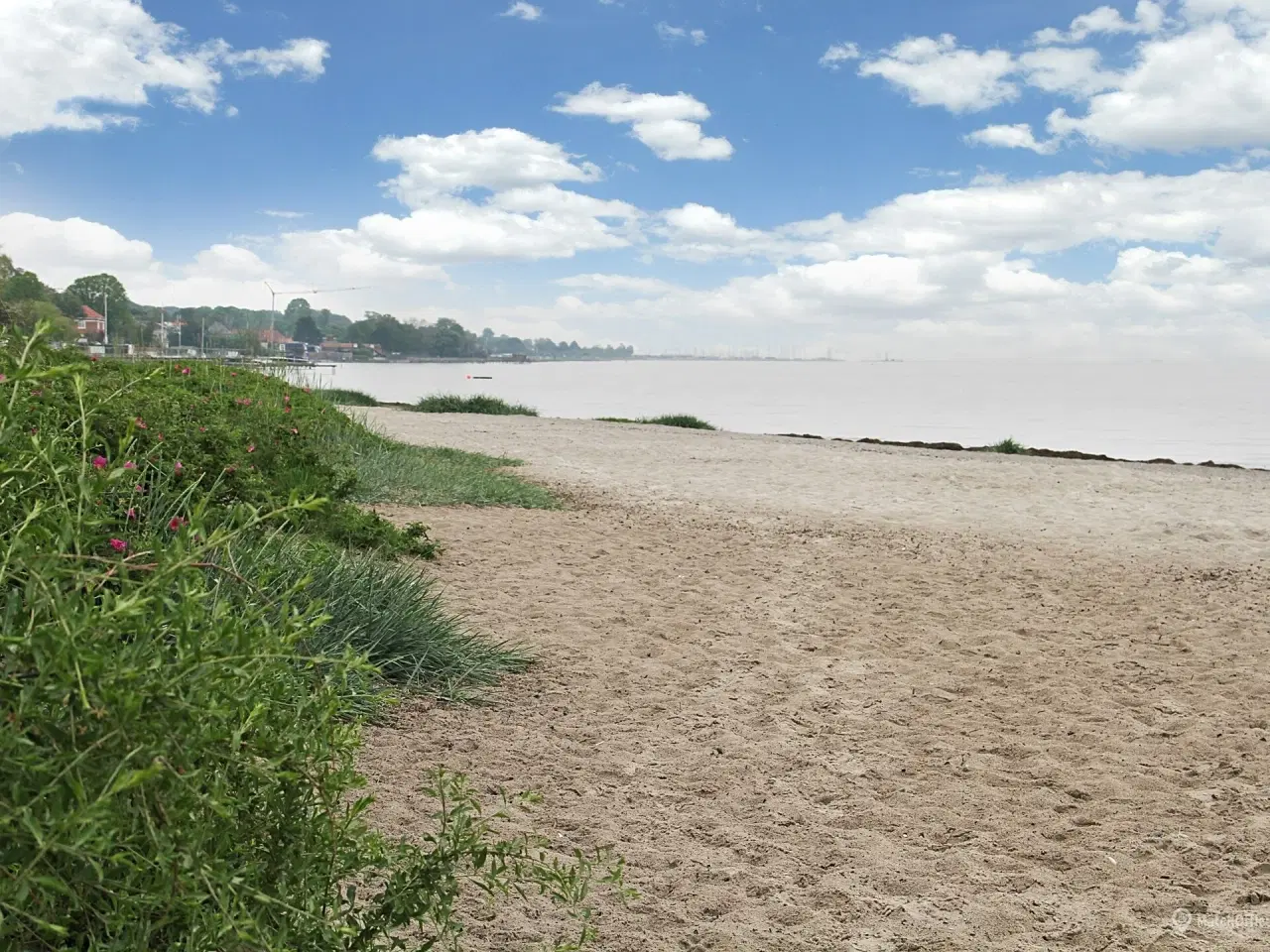 Billede 13 - Kontor i Hellerups smørhul med store glaspartier og kig til Øresund