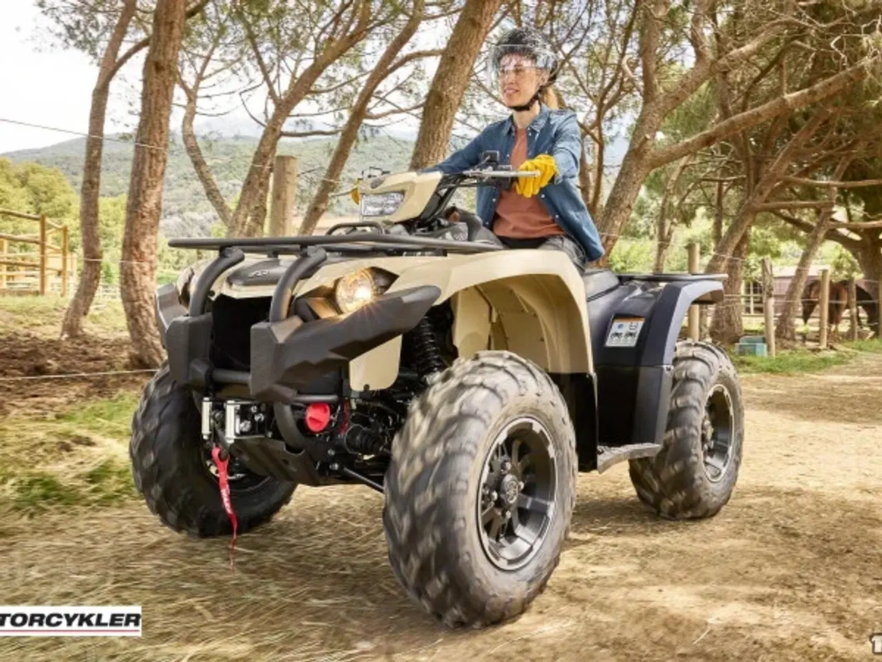 Billede 9 - Yamaha Kodiak 450 EPS SE ALU Diff Lock Traktor