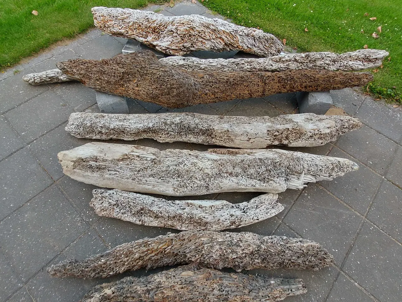 Billede 6 - Drivtømmer 