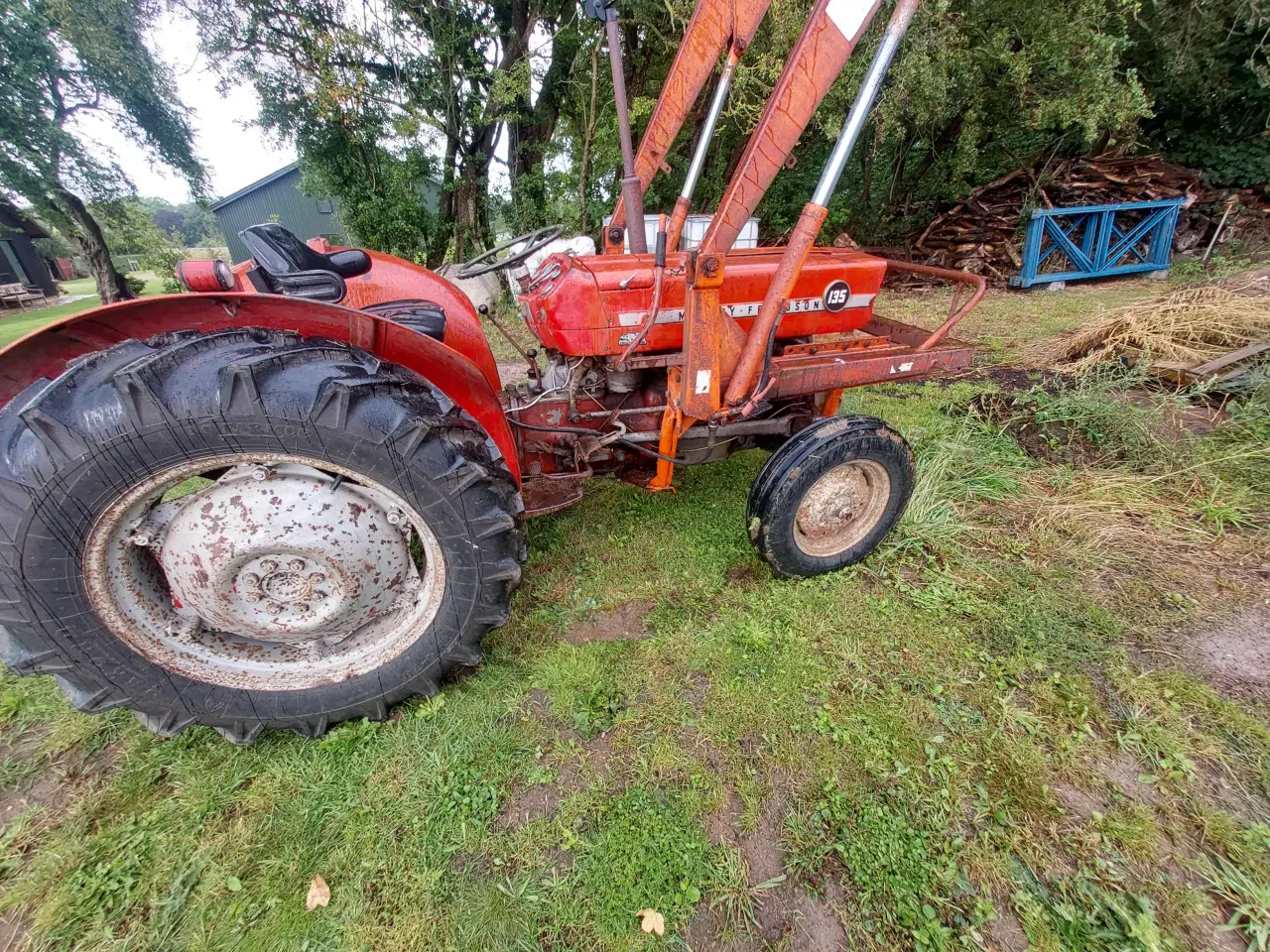 Billede 3 - MF 135 Diesel