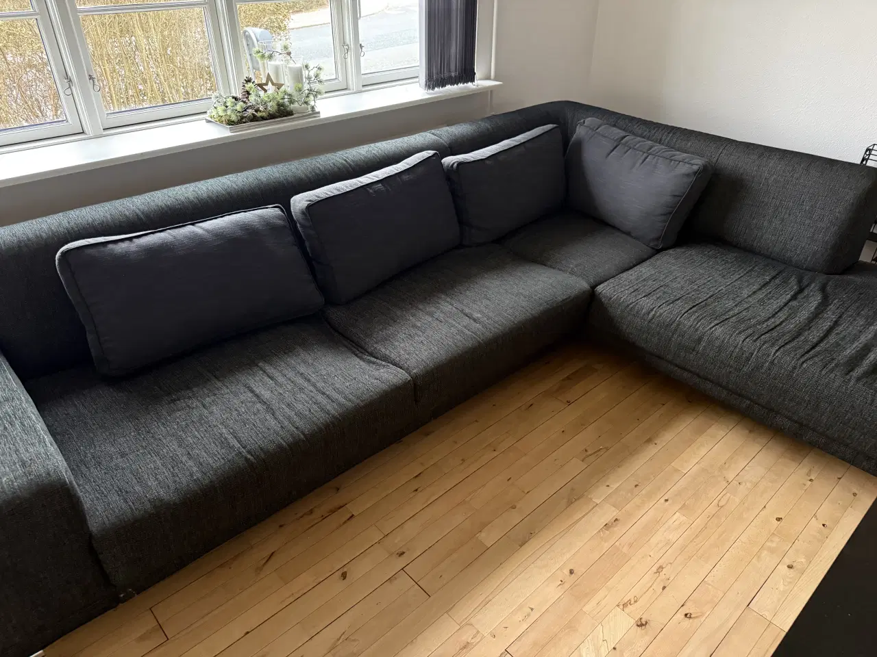 Billede 2 - Hent for to monster idag