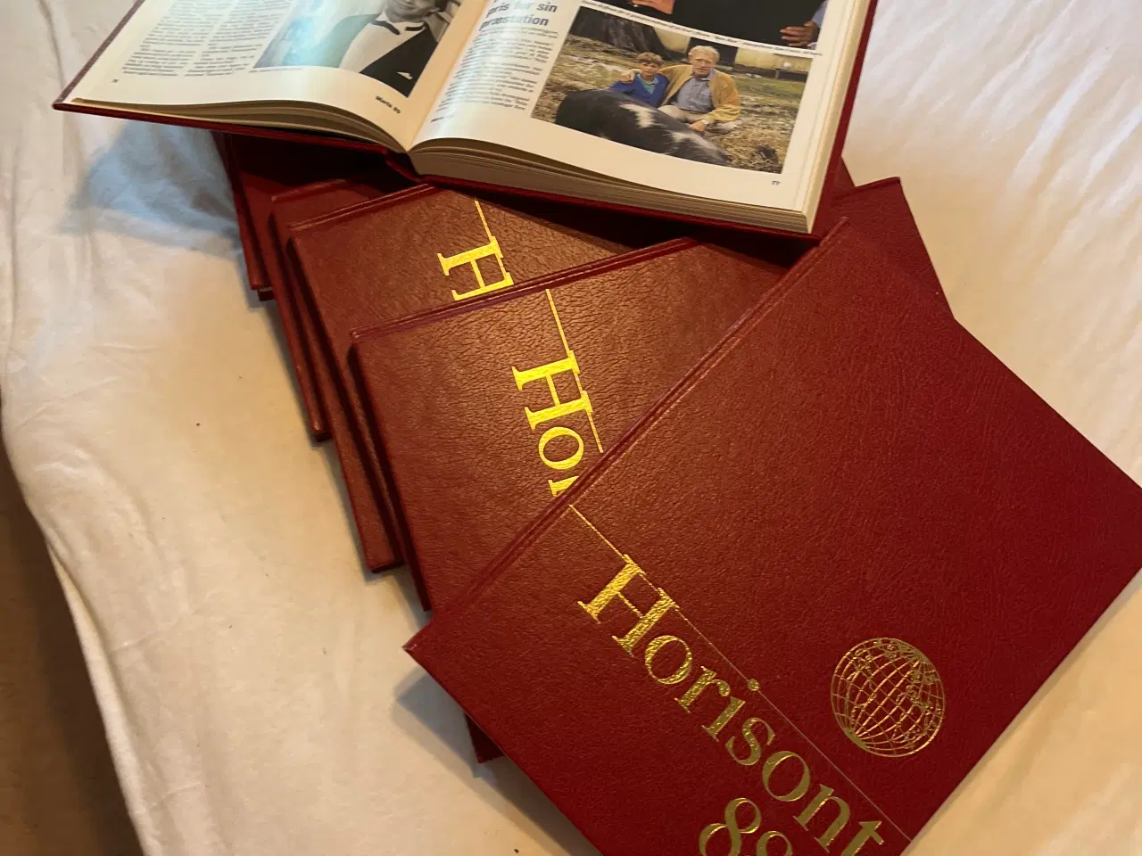 Billede 1 - Horisont årsbøger 1981-89