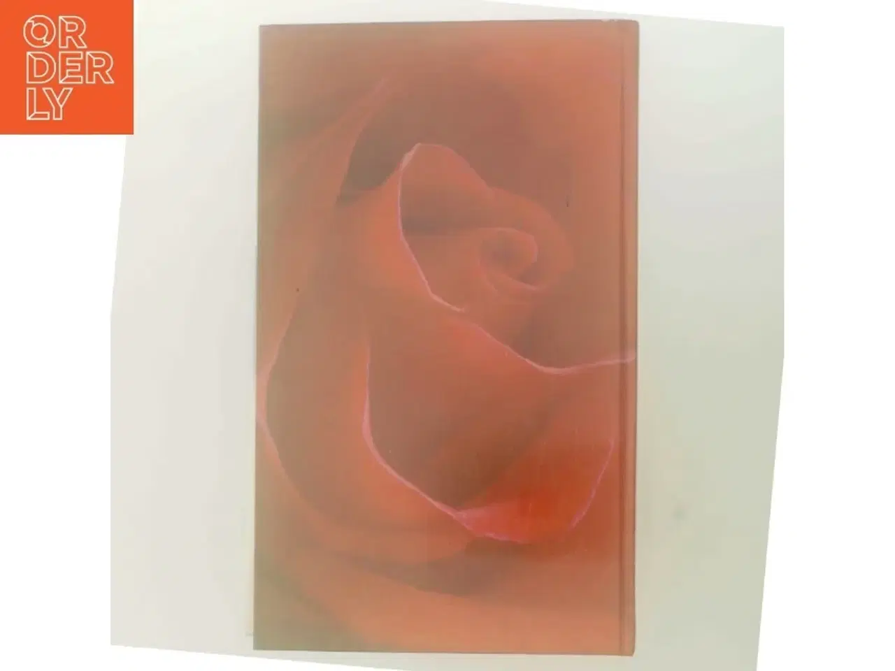 Billede 3 - Den grønne port af Jane Aamund (Bog)