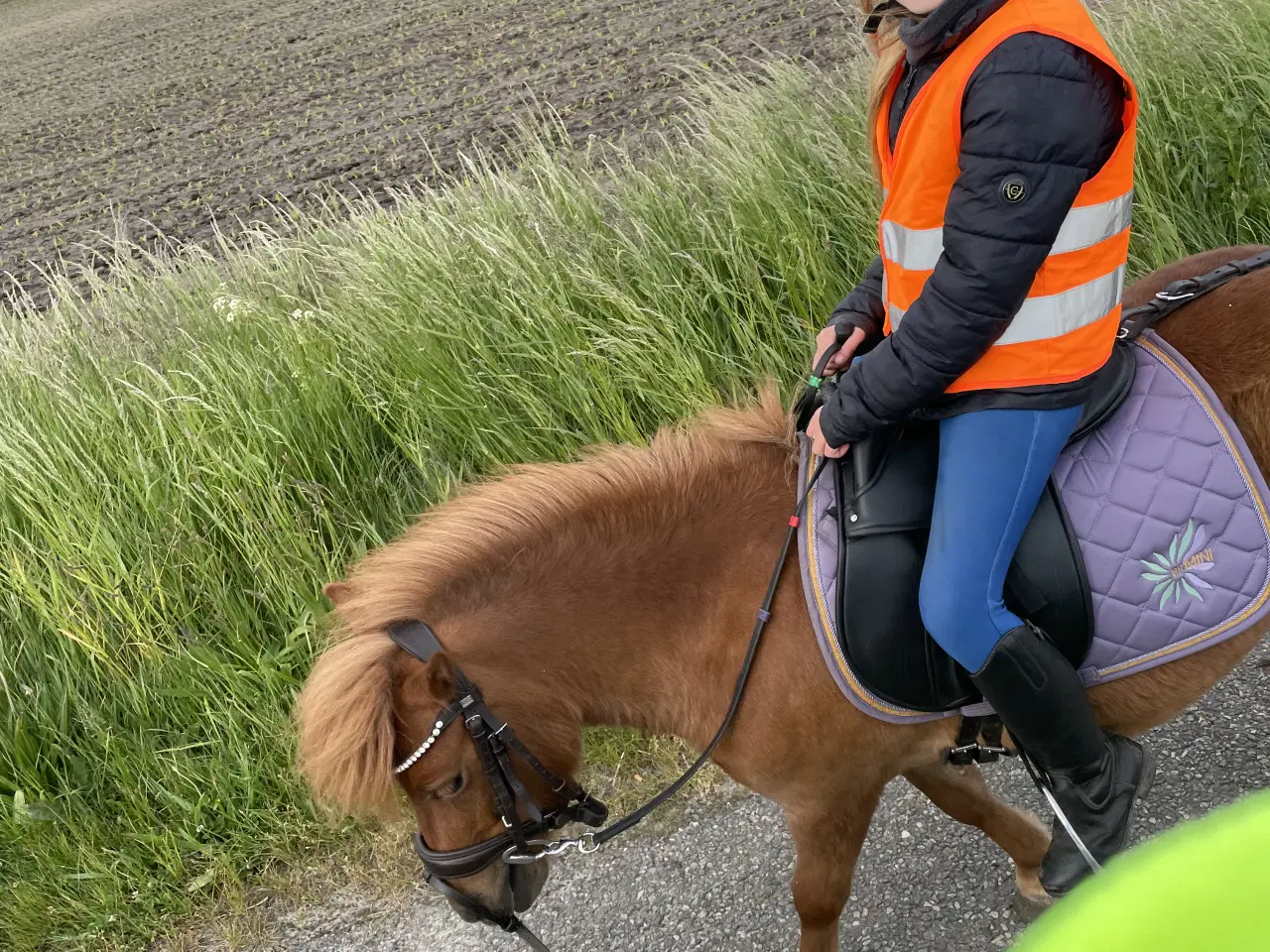Billede 5 - Verdens bedste børnepony 