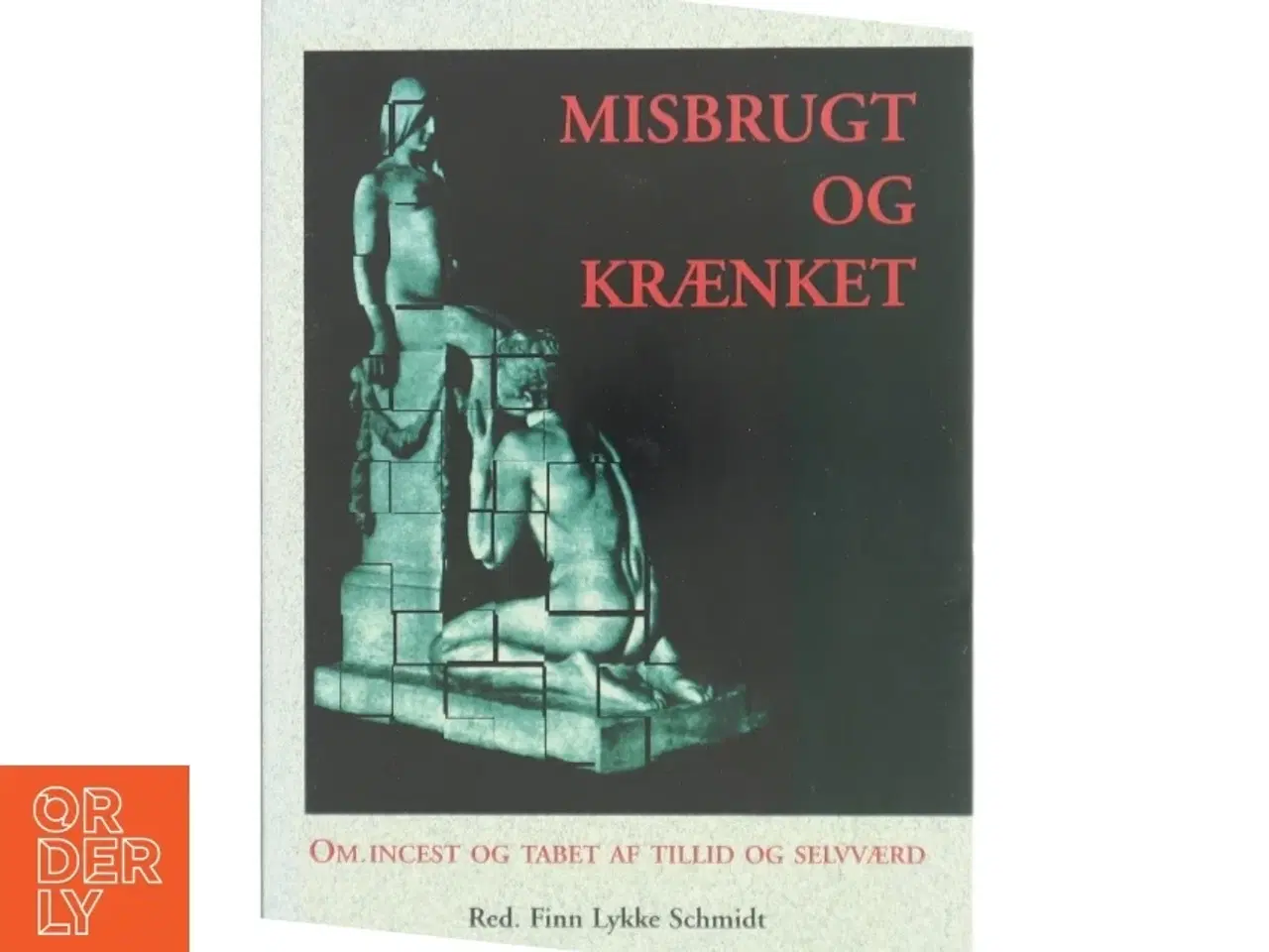 Billede 1 - Misbrugt og krænket : om incest og tab af tillid og selvværd af Finn Lykke Schmidt (Bog)