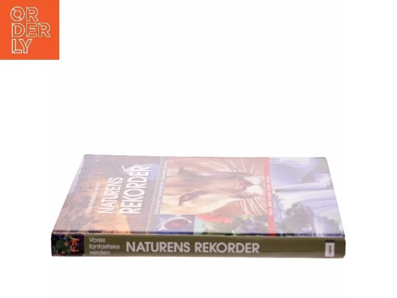 Billede 2 - Naturens rekorder : terra maxima : vores fantastiske verden (Bog)