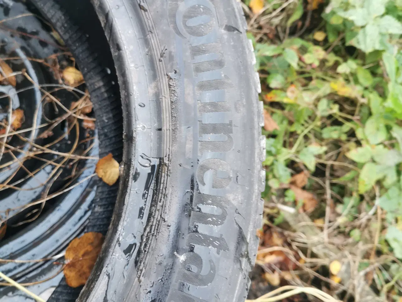 Billede 2 - Vinterdæk 