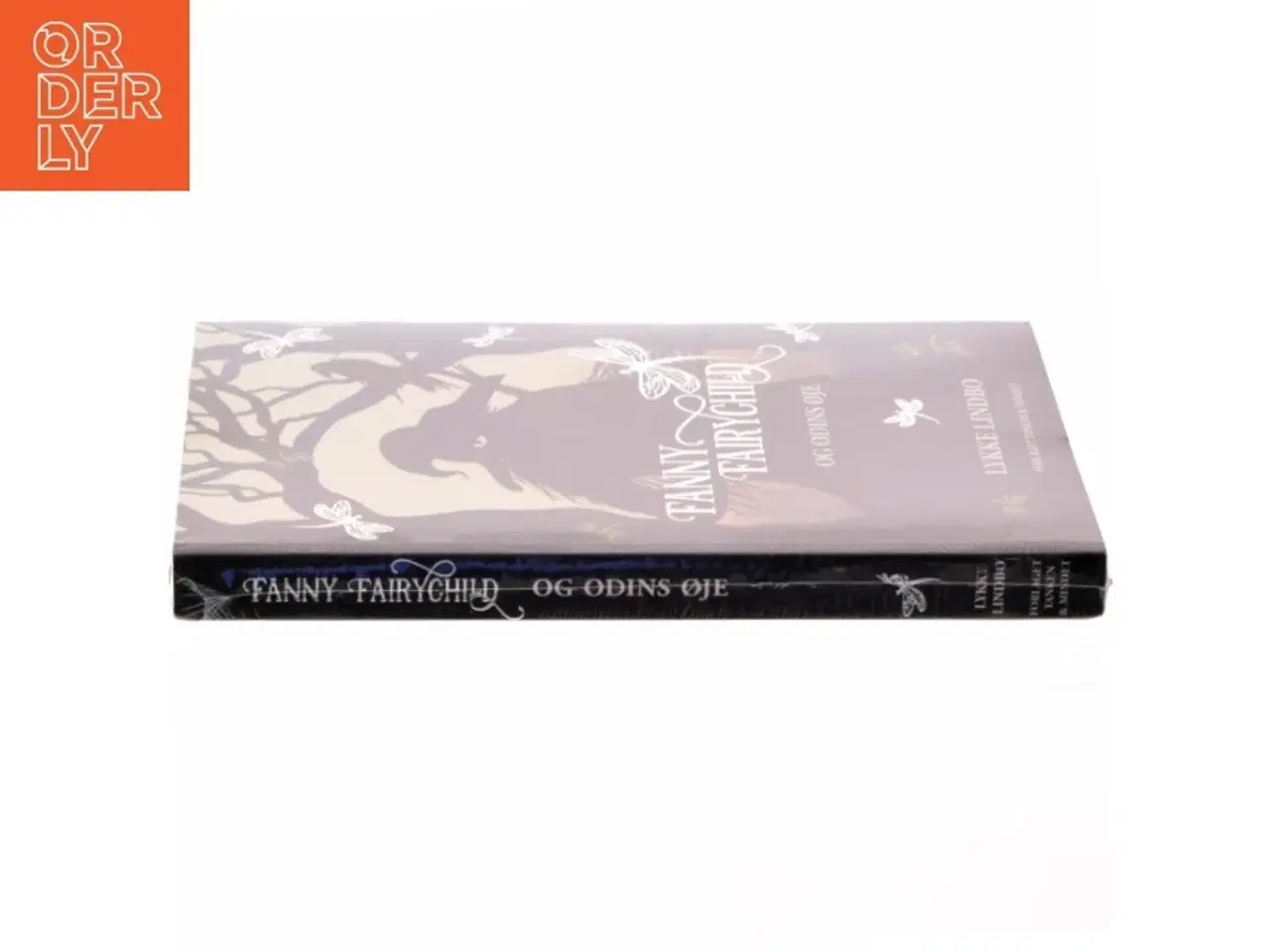Billede 2 - Fanny Fairychild og Odins øje af Lykke Lindbo (f. 1969) (Bog)