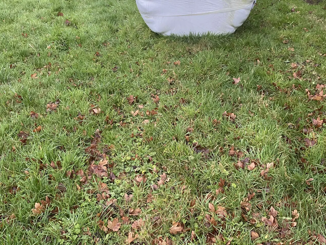 Billede 3 - Wraphø 2025