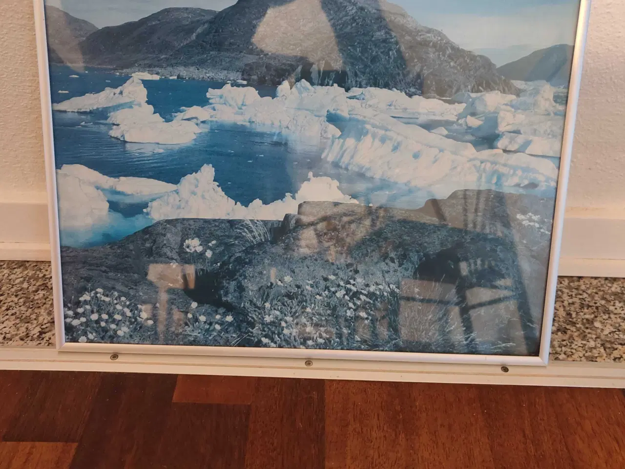 Billede 2 - Billeder af isbjerge landskab og et med slædehunde