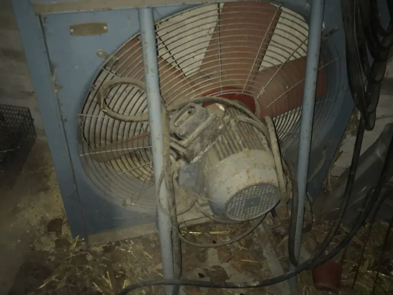 Billede 2 - Korn blæser