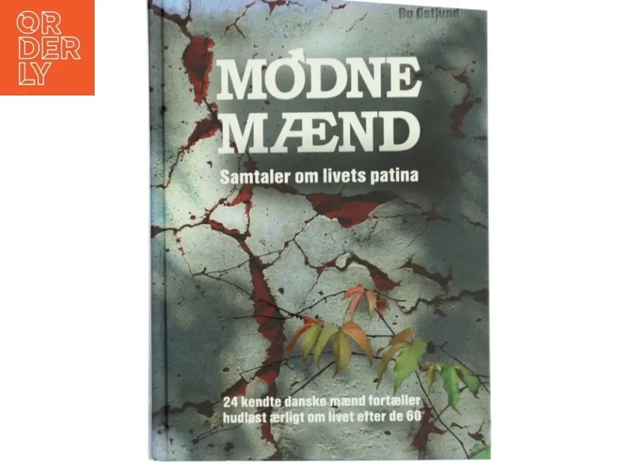 Billede 1 - Modne mænd af Bo Østlund (Bog)