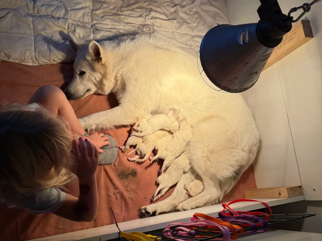 Billede 16 - Mangler du en blød familie julegave