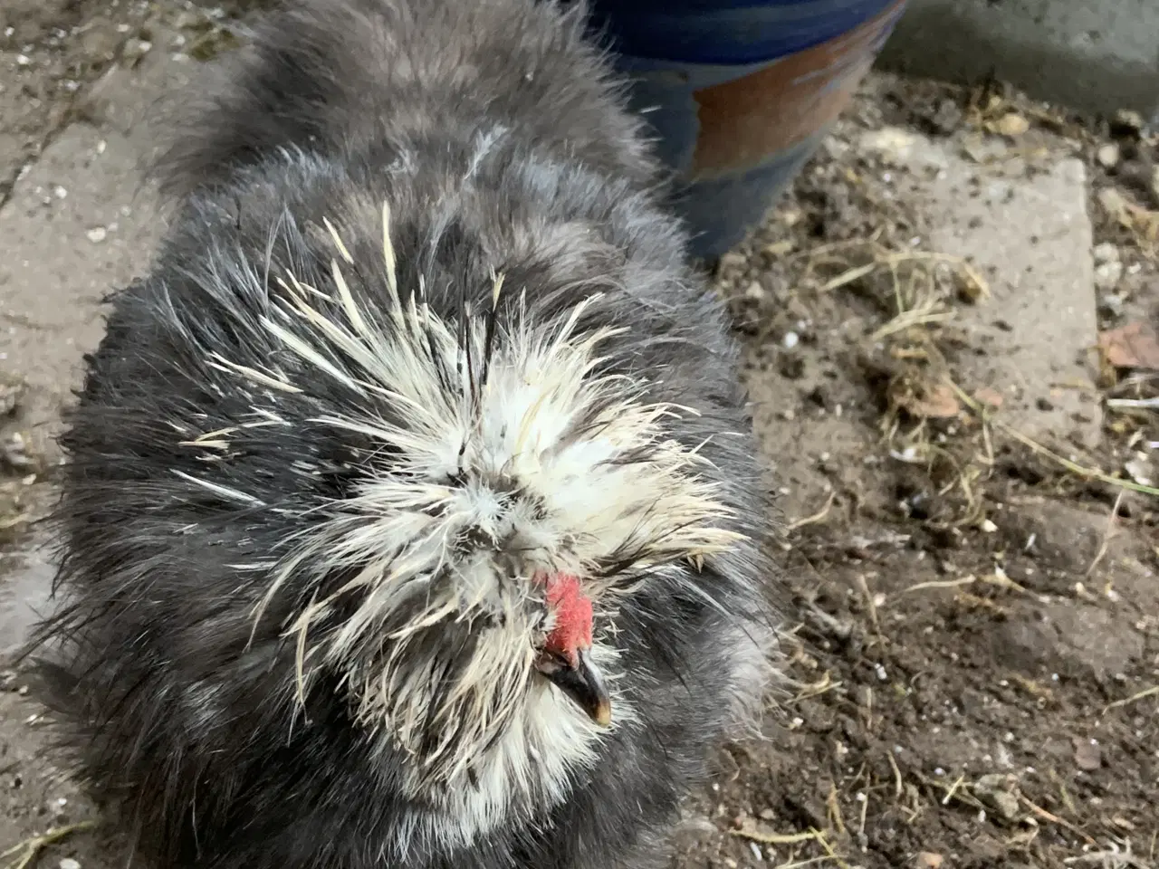 Billede 3 - Us silke