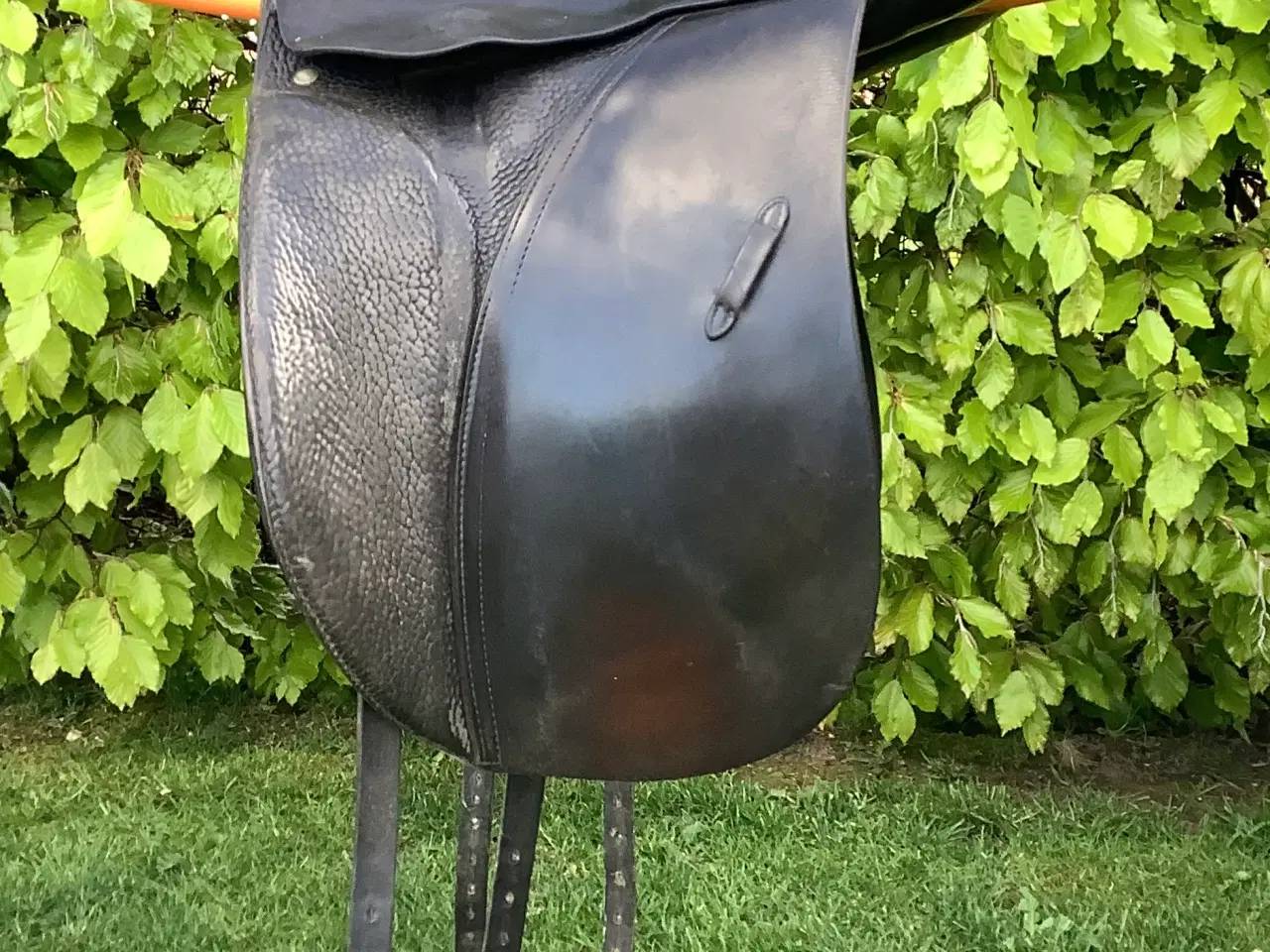 Billede 1 - Passier dr. Sadel 17”