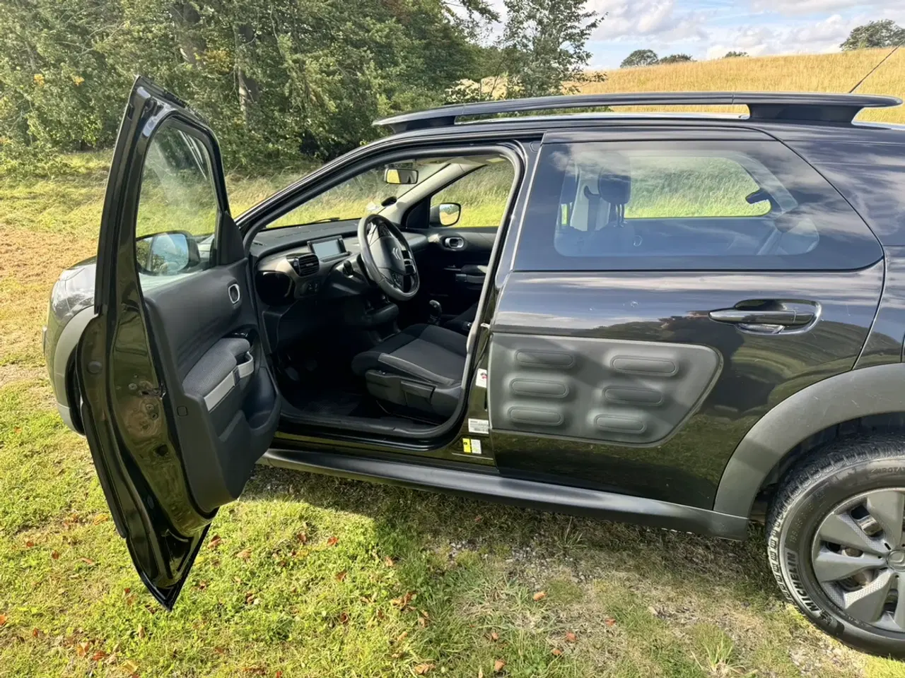 Billede 8 - Citroën C4 Cactus